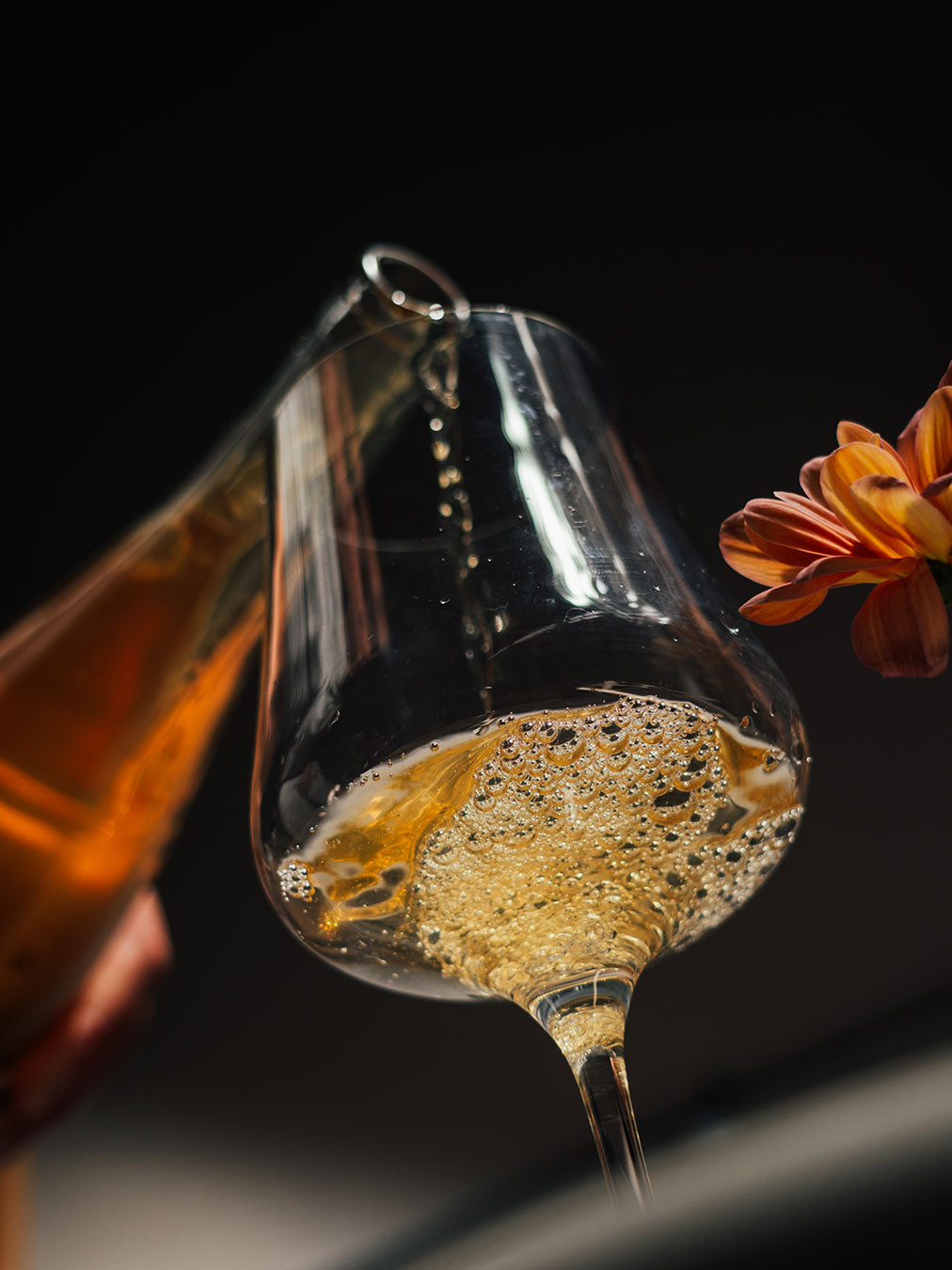 Close-up of a glass with Catch & Release Middle Child wine and a flower on a dark background