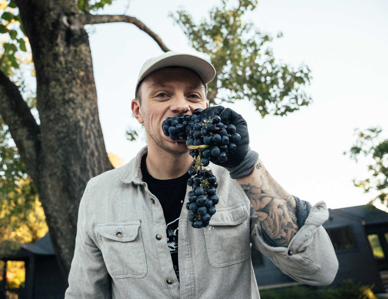 Beno Stewart of Catch & Release Wines biting into organic grapes in a vineyard.