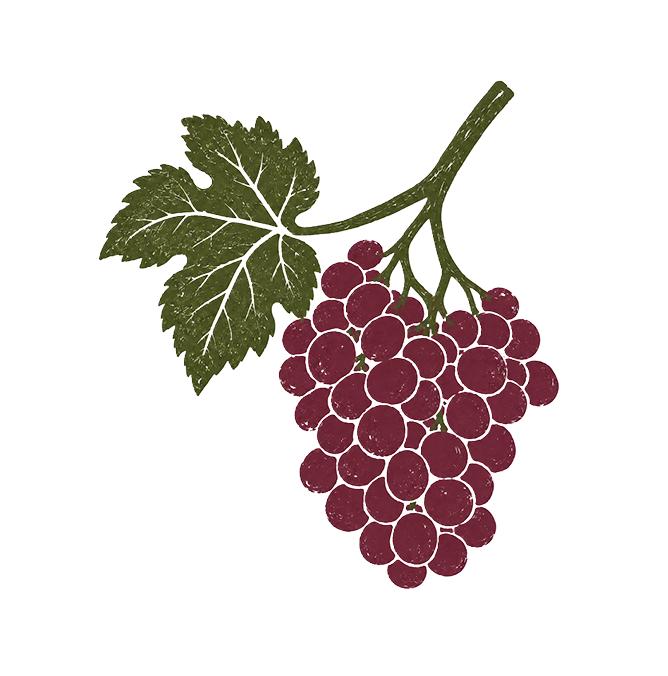 Catch & Release Wines