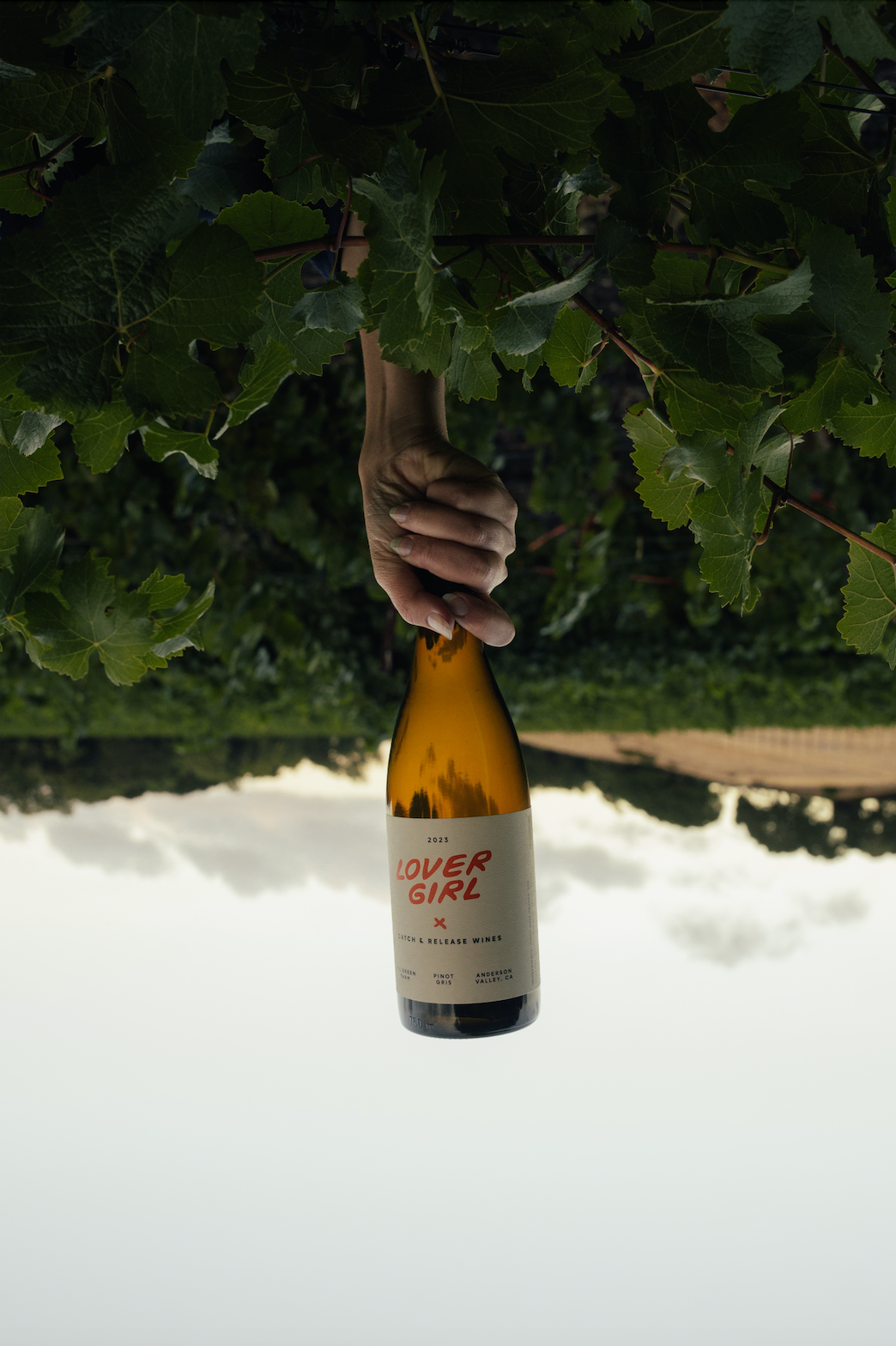 2025 Lover Girl bottle held among grapevines