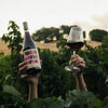 Two hands holding a bottle of Catch & Release Wines Anyone Anytime Anyplace and a glass of red wine in a vineyard setting.