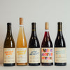 Five bottles of Catch & Release Wines, Fall Winter Release bottle shot