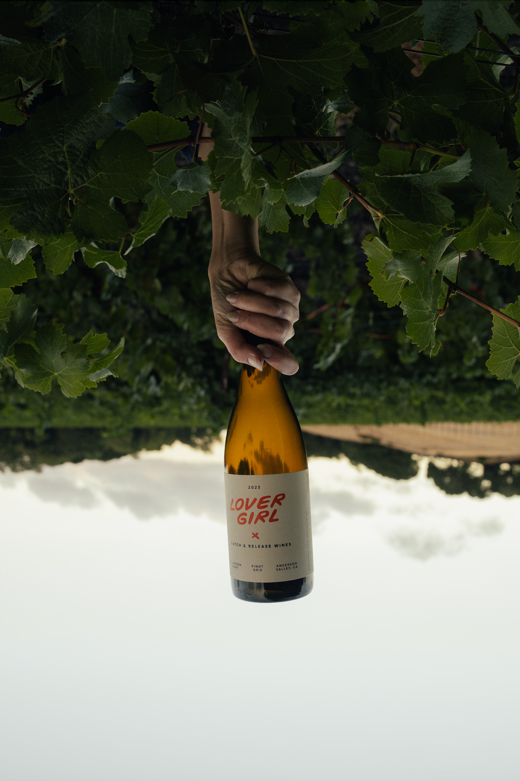 Catch & Release Natural Wine biodynamically farmed Pinot Gris bottle upside down in the vineyard