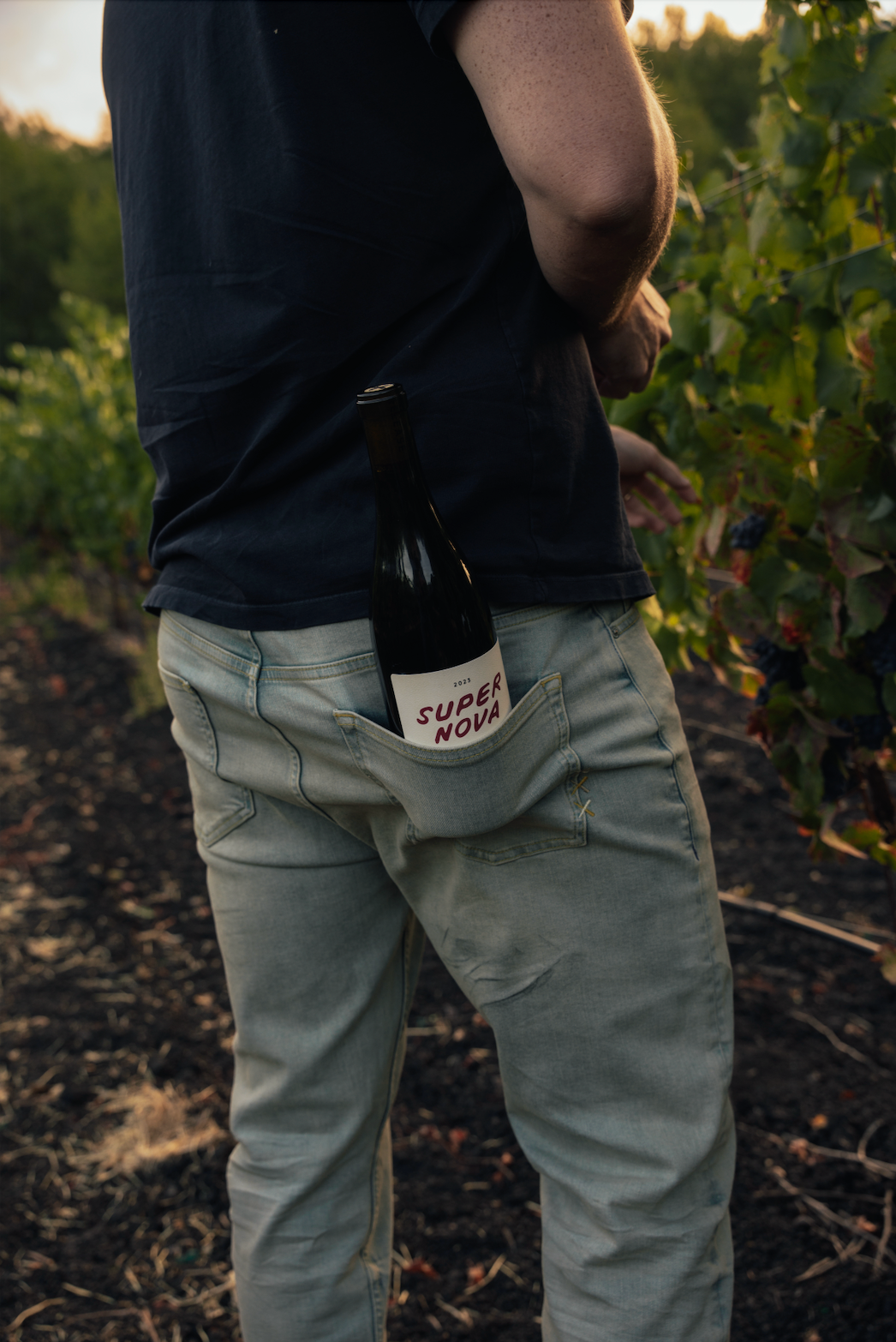 Catch & Release California Natural Wine Supernova Gamay bottle in winemaker's back pocket in vineyard